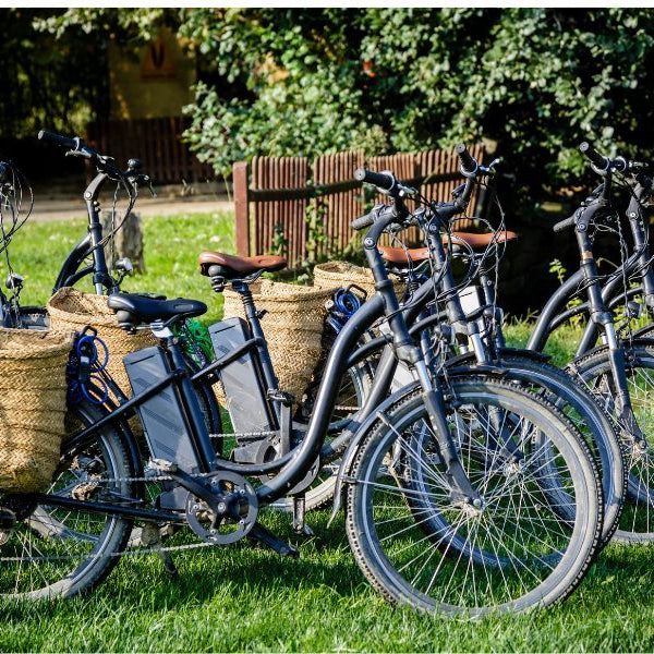 From Vineyards to Seashores: Top E-Bike Tours for the Adventurous Boomer - Ebike Boomers