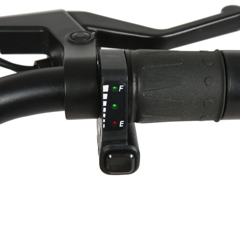 Eunorau E-Kids 20" E-Bike Battery Meter | Ebike Boomers LLC