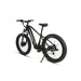 Eunorau Fat-AWD 2.0 All-Terrain Fat-Tire E-Bike Raven 4 | Ebike Boomers LLC